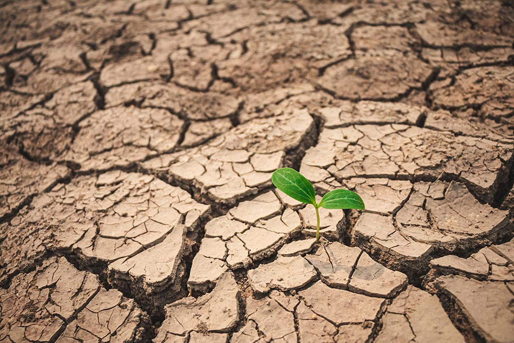Connessioni Contemporanee: Crisi climatica e rivoluzione ecologica